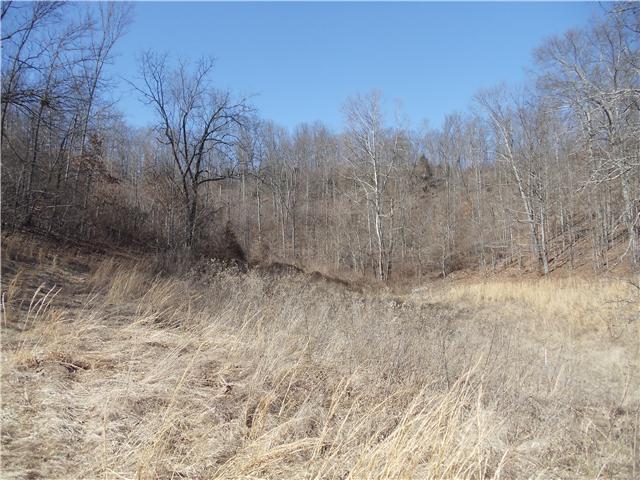 1031 Wallace Road Gallatin, TN 37066 - Photo 7 of 11