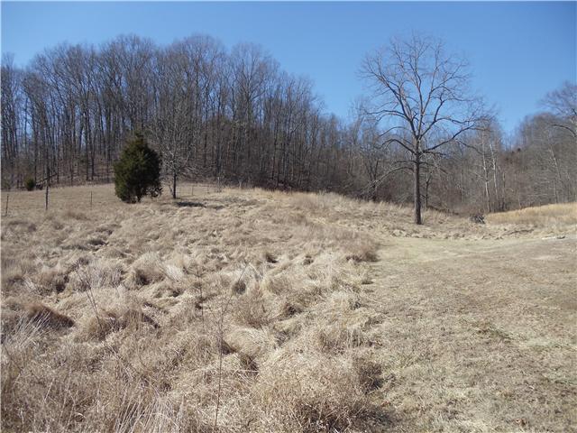 1031 Wallace Road Gallatin, TN 37066 - Photo 8 of 11