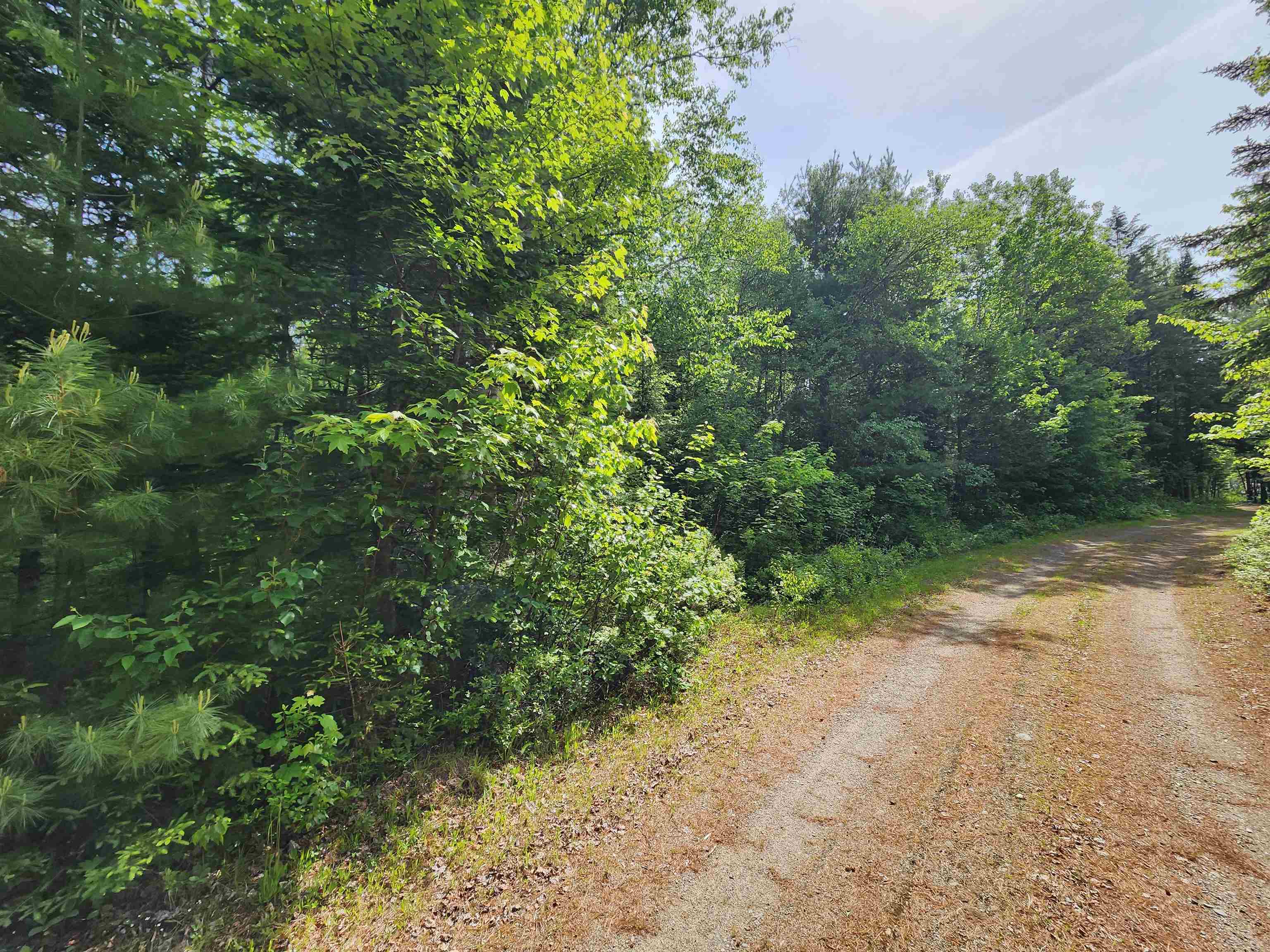 0 Boise Cascade Road Dummer, NH 03588 - Photo 6 of 17
