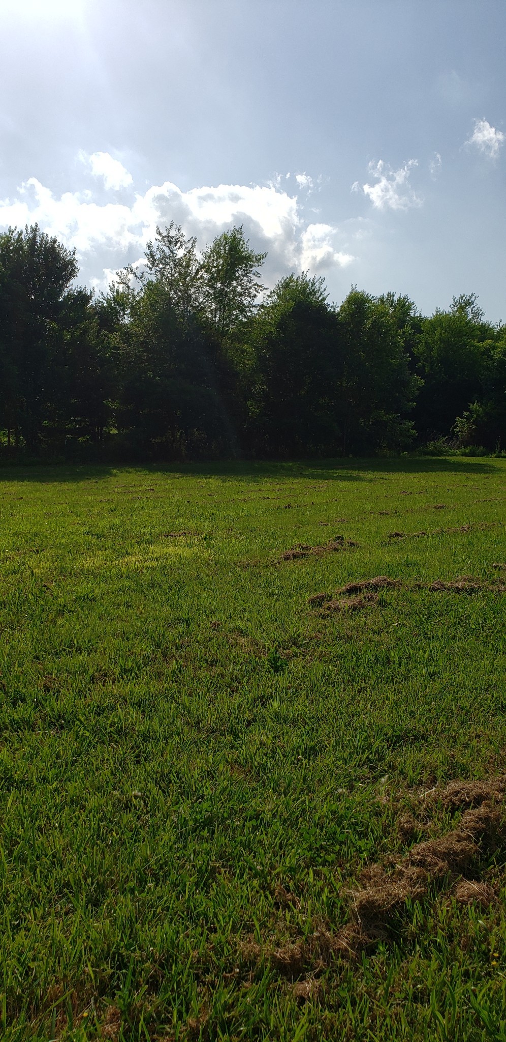 67 Orville Duke Road Morrison, TN 37357 - Photo 12 of 13 a view of outdoor space and yard