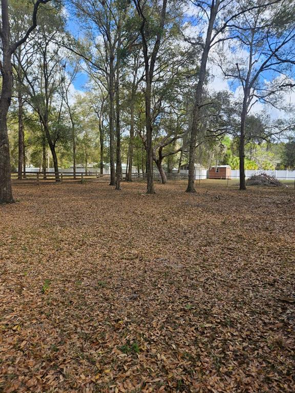 5463 East Tangelo Lane Inverness, FL 34453 - Photo 4 of 5