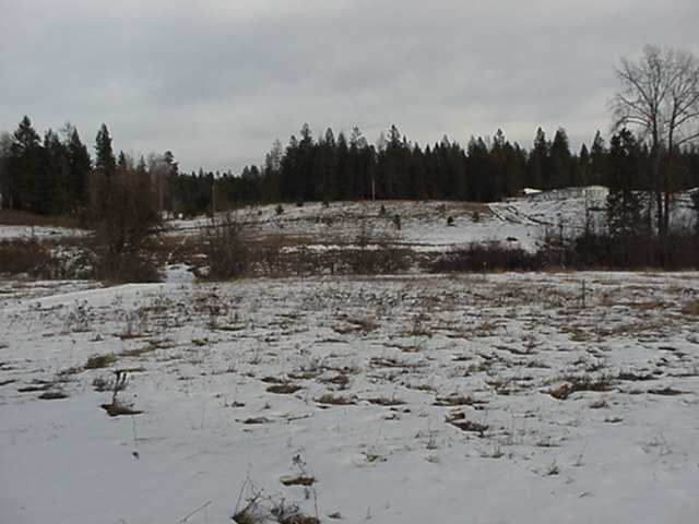-- Whittier Road Clayton, WA 99110 - Photo 2 of 7