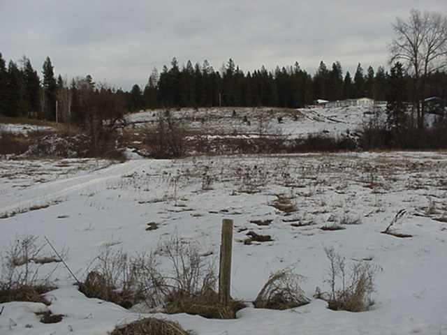 -- Whittier Road Clayton, WA 99110 - Photo 3 of 7