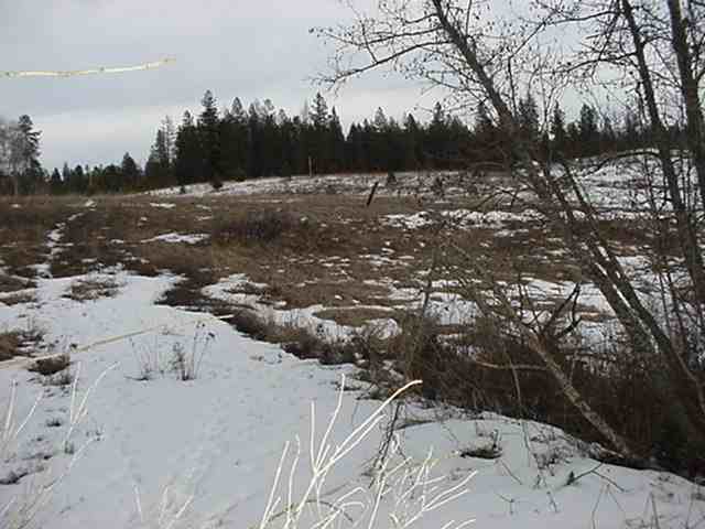 -- Whittier Road Clayton, WA 99110 - Photo 5 of 7