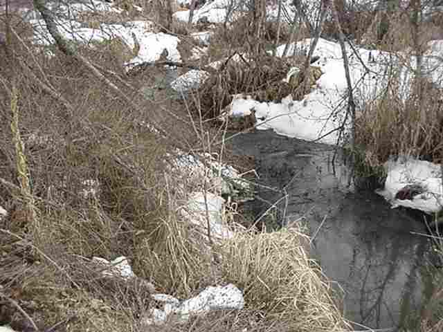 -- Whittier Road Clayton, WA 99110 - Photo 6 of 7
