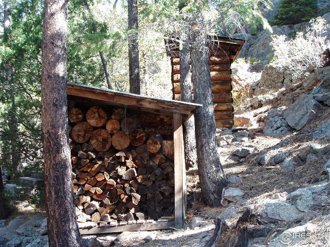 2426 Riverside Drive Lyons, CO 80540 - Photo 9 of 9 a view of a tree front of house