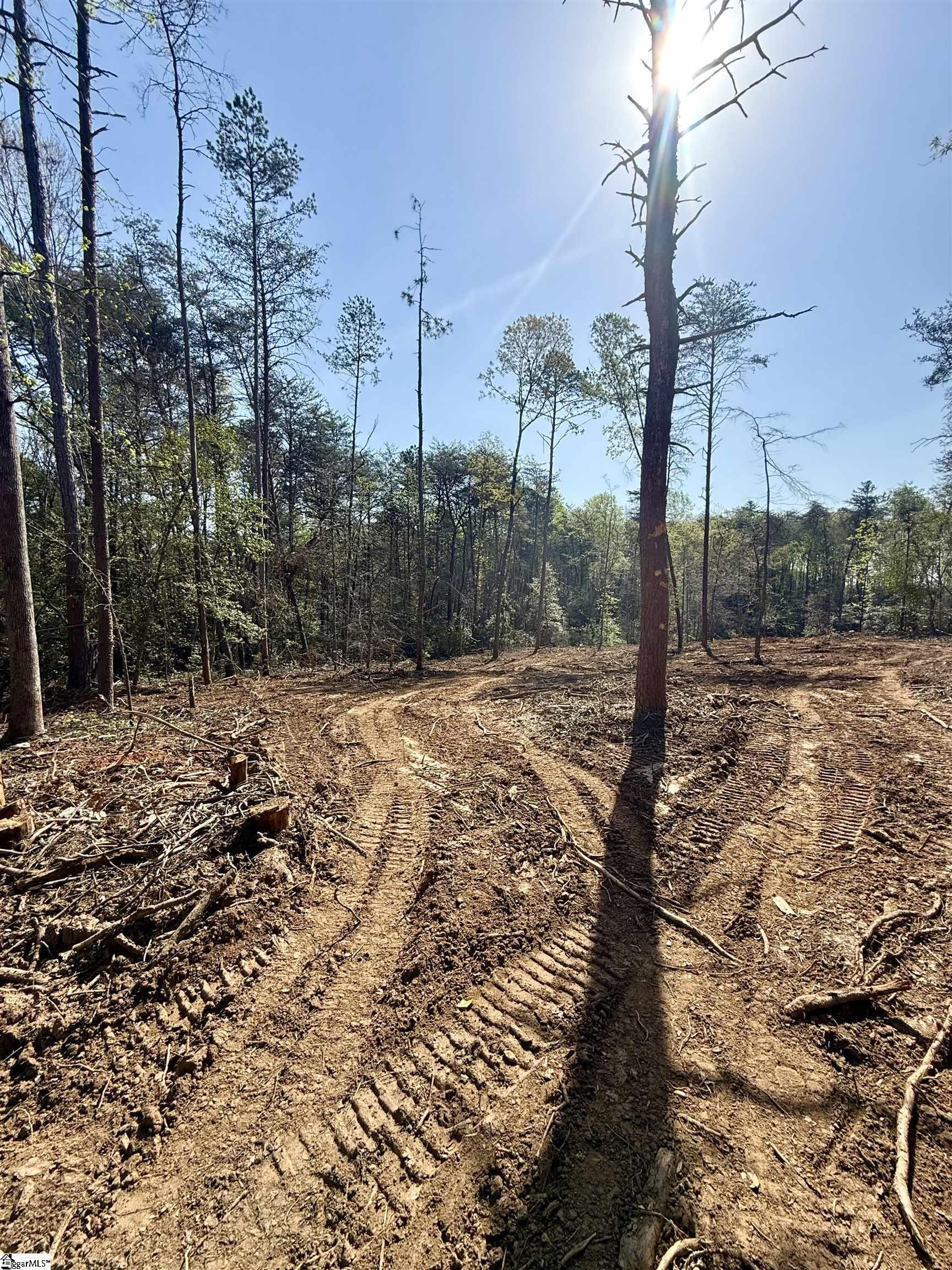 0 Thompson Road Greer, SC 29651 - Photo 30 of 31