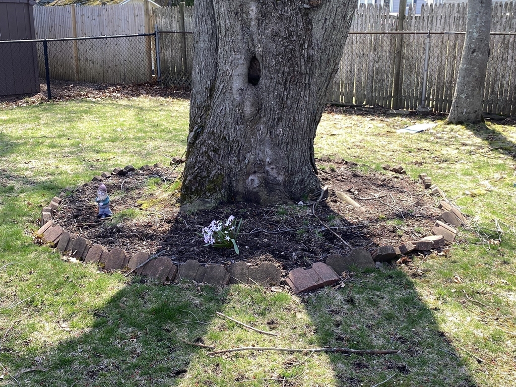 91 Kimball Road Dedham, MA 02026 - Photo 9 of 28