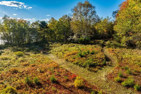 $1,195,000 | 55b Victoria Lane, Milbridge, ME 04658