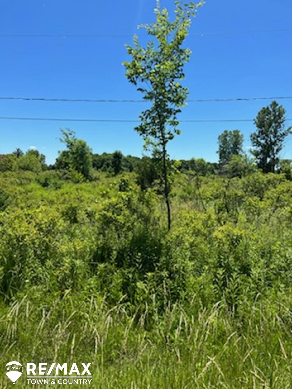 0 East Wilson Road Clio, MI 48420 - Photo 4 of 4