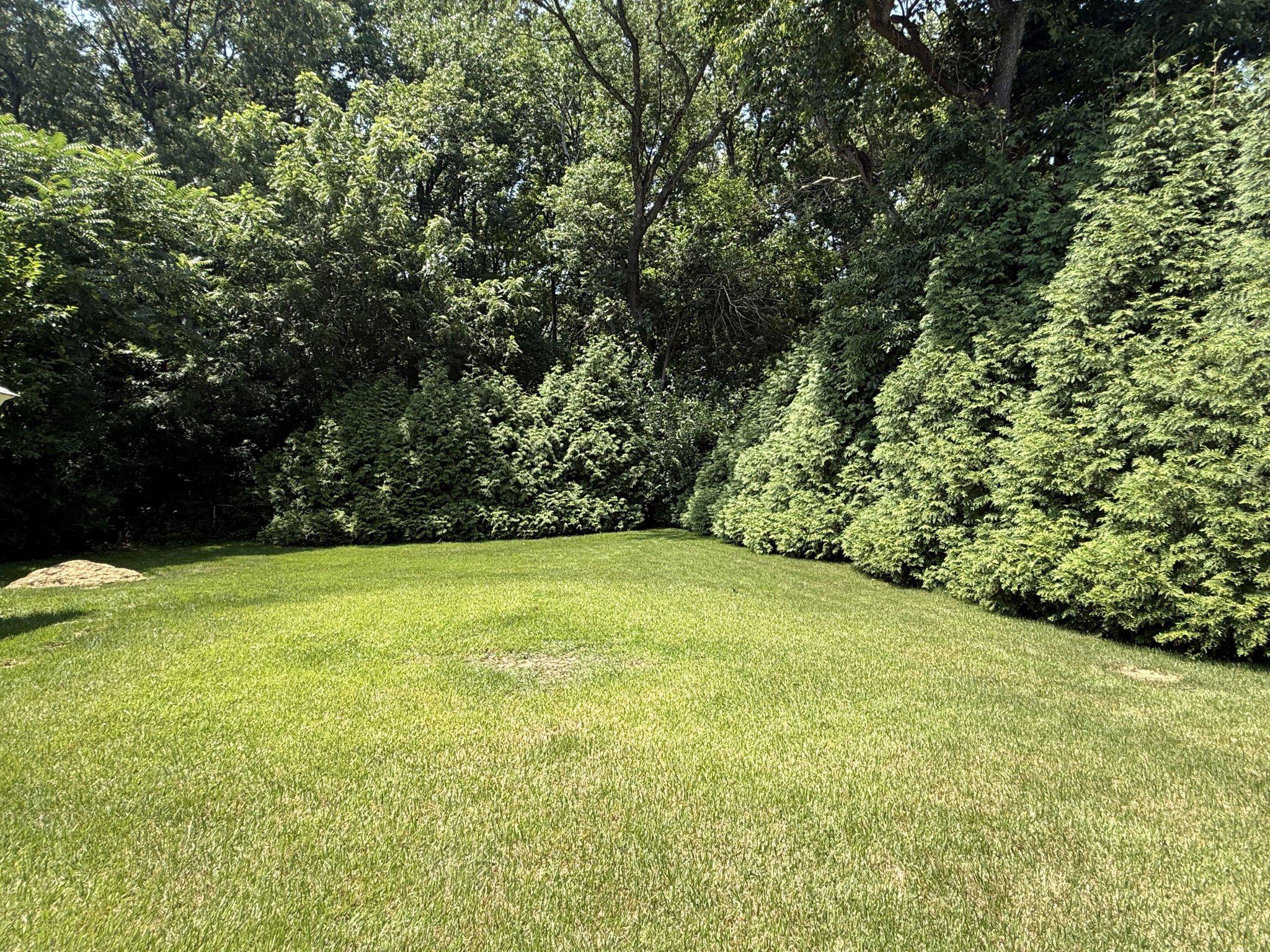 61 Colson Avenue Hamilton, NJ 08610 - Photo 26 of 29 Spacious backyard.