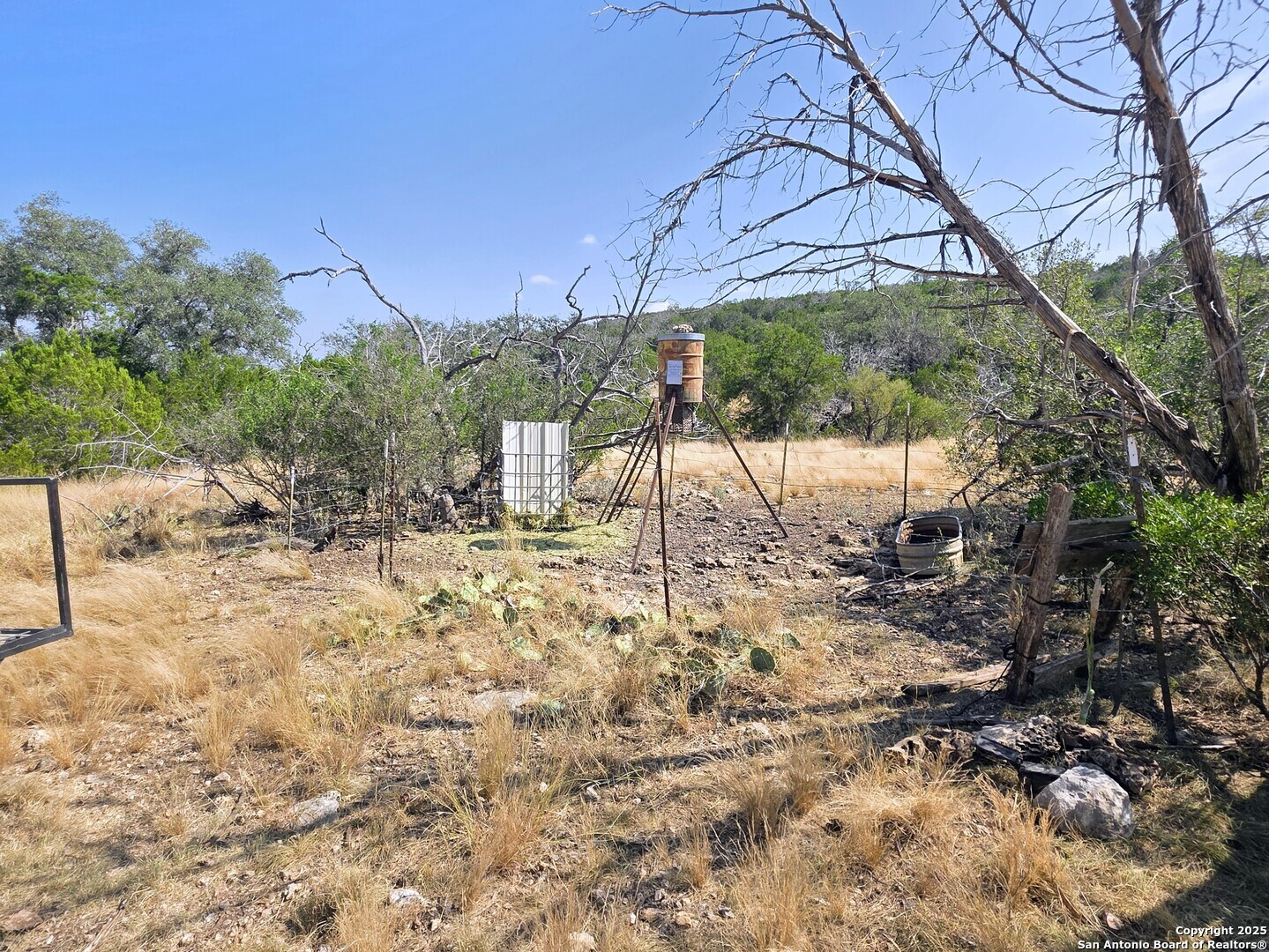 72.5 Ac /- Sd5570 Rocksprings, TX 78880 - Photo 12 of 20 a view of a backyard of the house