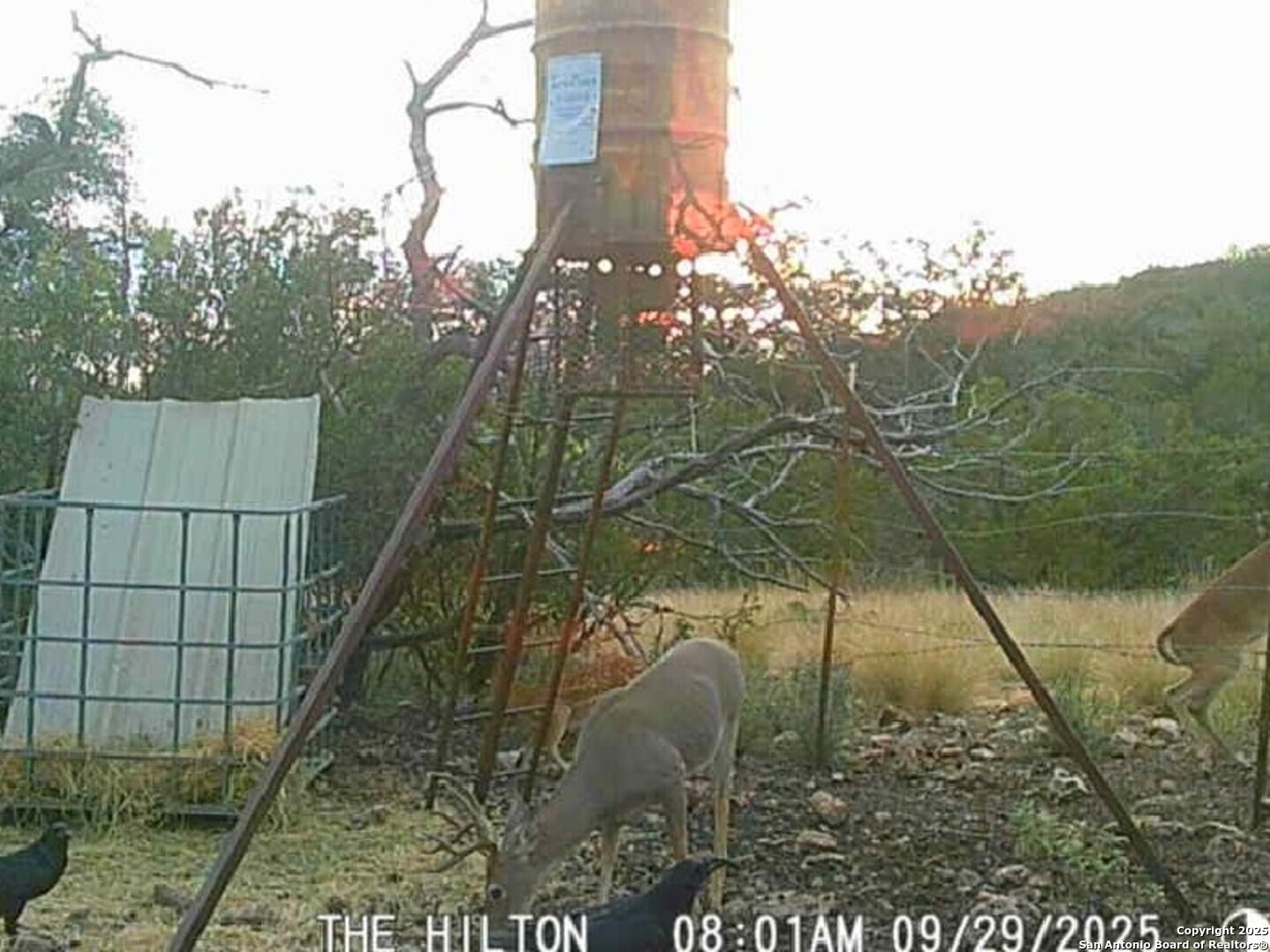 72.5 Ac /- Sd5570 Rocksprings, TX 78880 - Photo 19 of 20 a view of a yard