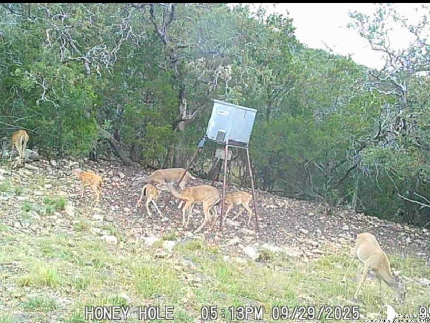 72.5 Ac /- Sd5570 Rocksprings, TX 78880 - Photo 3 of 20 a outdoor view with a bench
