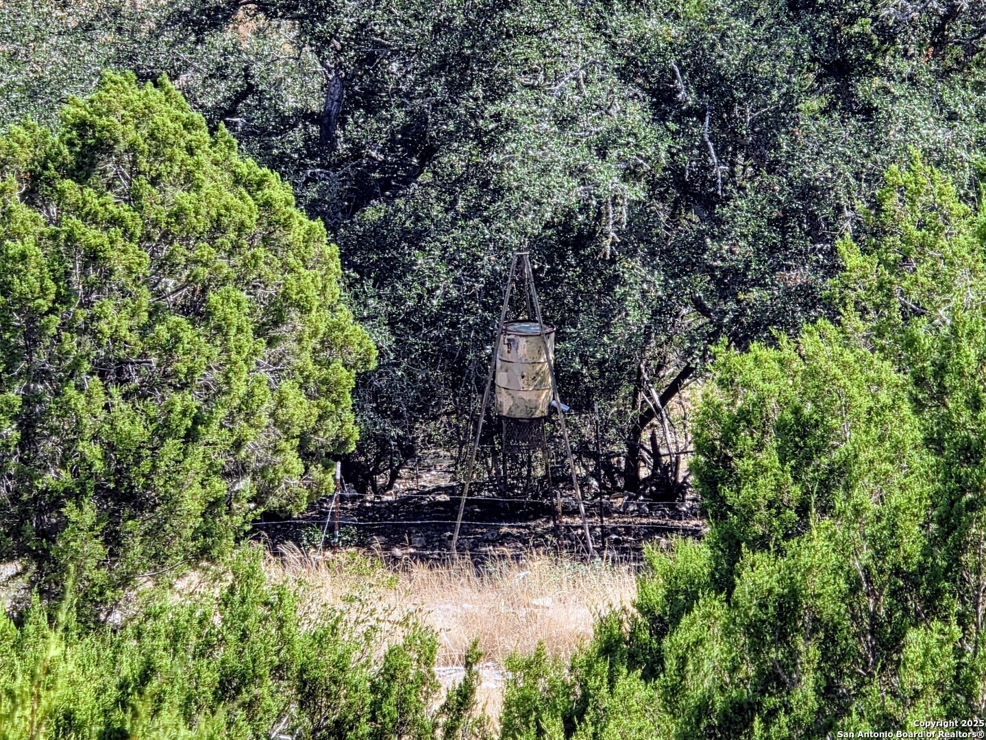 72.5 Ac /- Sd5570 Rocksprings, TX 78880 - Photo 7 of 20