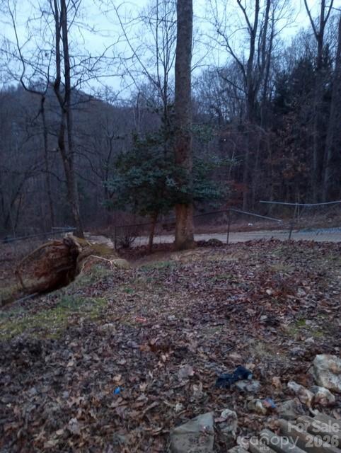 67 Earwood Rdg Road Fairview, NC 28730 - Photo 16 of 18