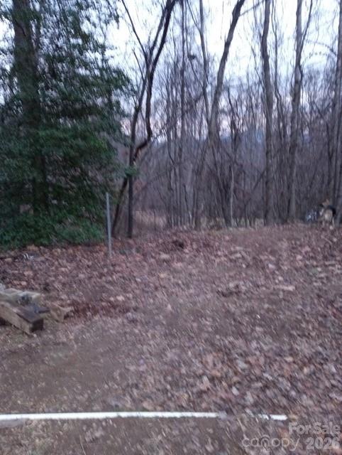 67 Earwood Rdg Road Fairview, NC 28730 - Photo 17 of 18