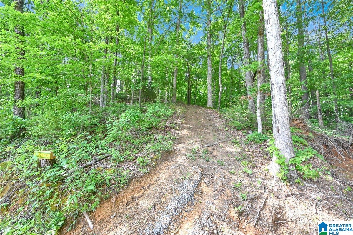 239 Doss Road Cullman, AL 35057 - Photo 22 of 39 Gallery Image 22