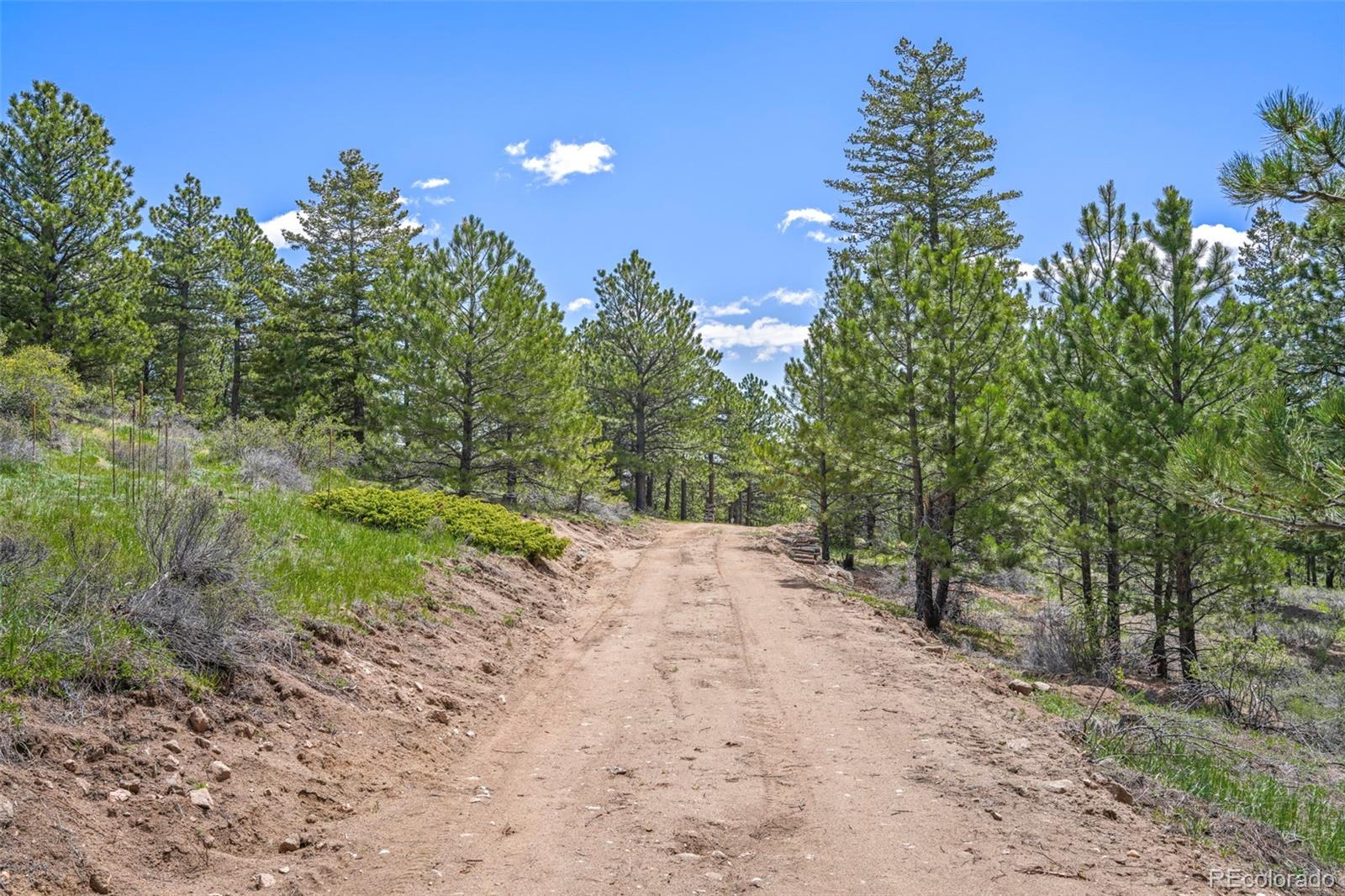 609 Old Townsite Road Boulder, CO 80302 - Photo 13 of 35 Gallery Image 13