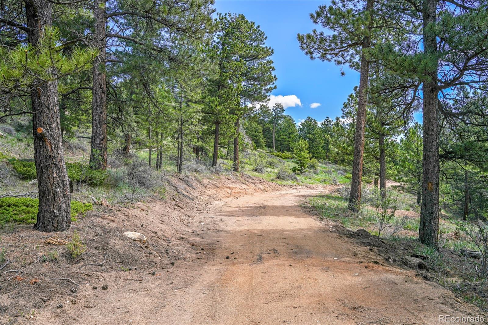 609 Old Townsite Road Boulder, CO 80302 - Photo 14 of 35 Gallery Image 14