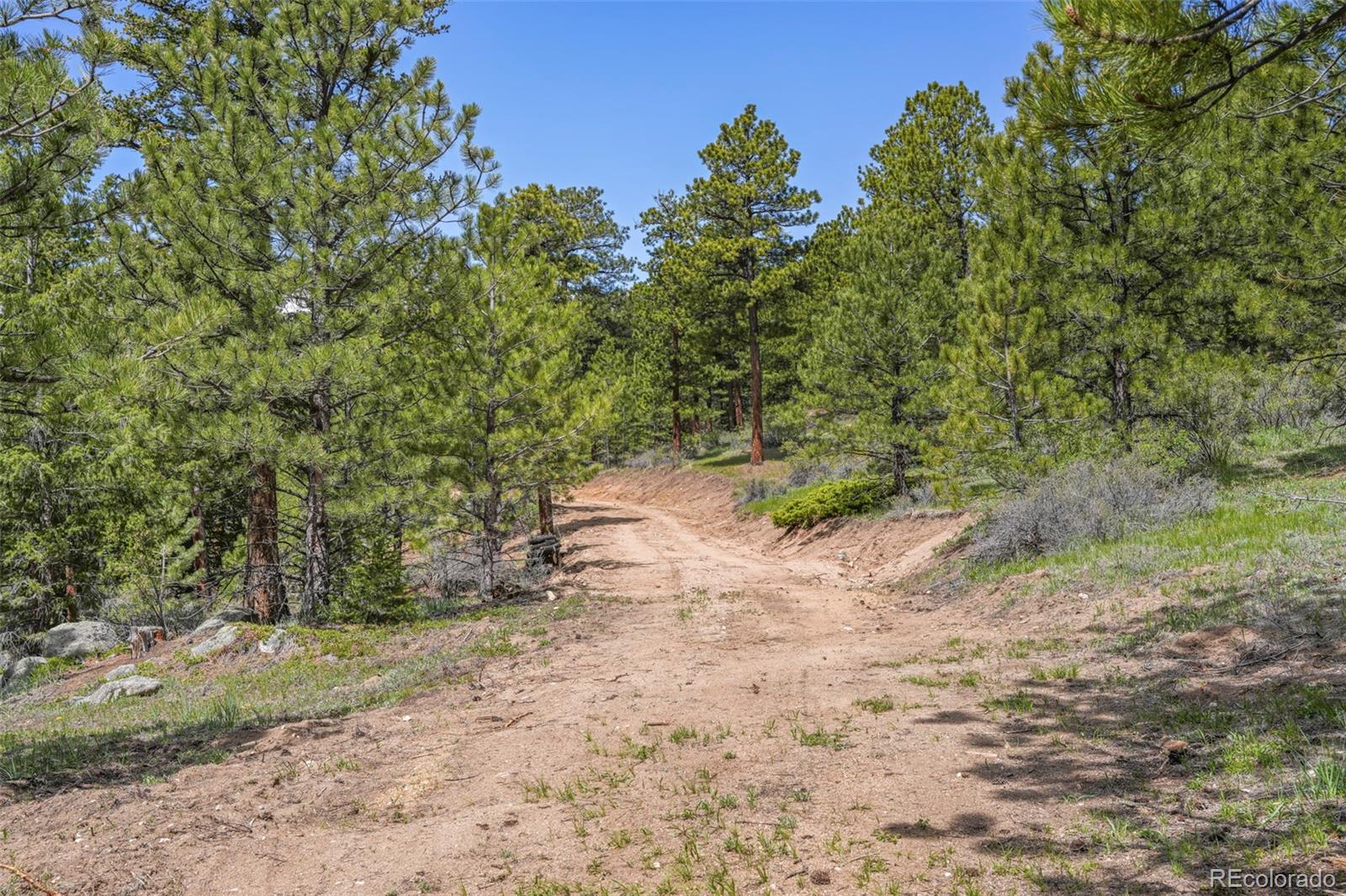 609 Old Townsite Road Boulder, CO 80302 - Photo 16 of 35 Gallery Image 16