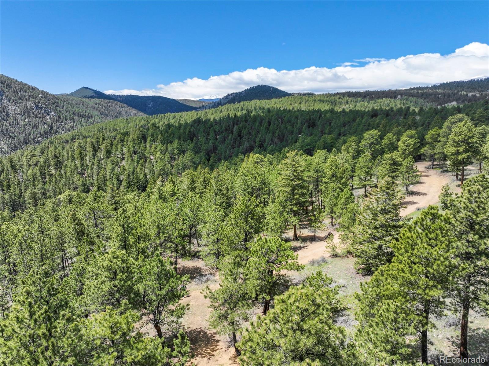 609 Old Townsite Road Boulder, CO 80302 - Photo 19 of 35 Gallery Image 19