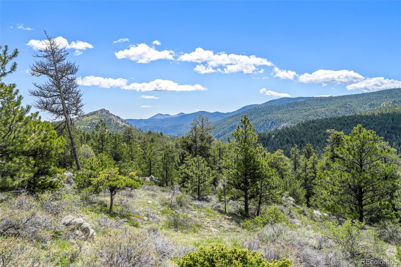 609 Old Townsite Road Boulder, CO 80302 - Photo 31 of 35 Gallery Image 31