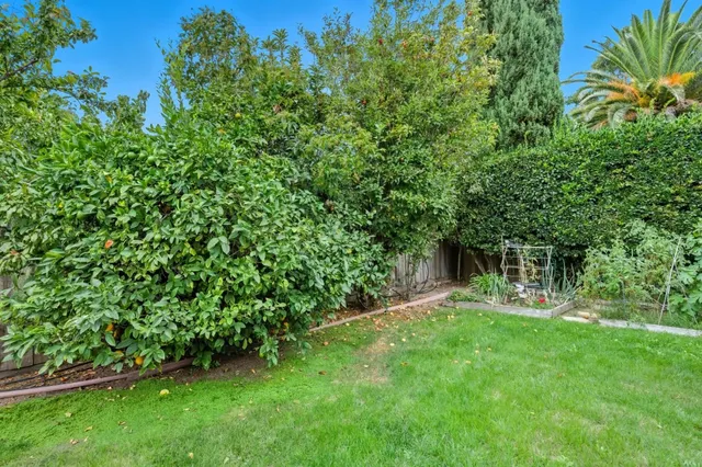 a view of yard with green space