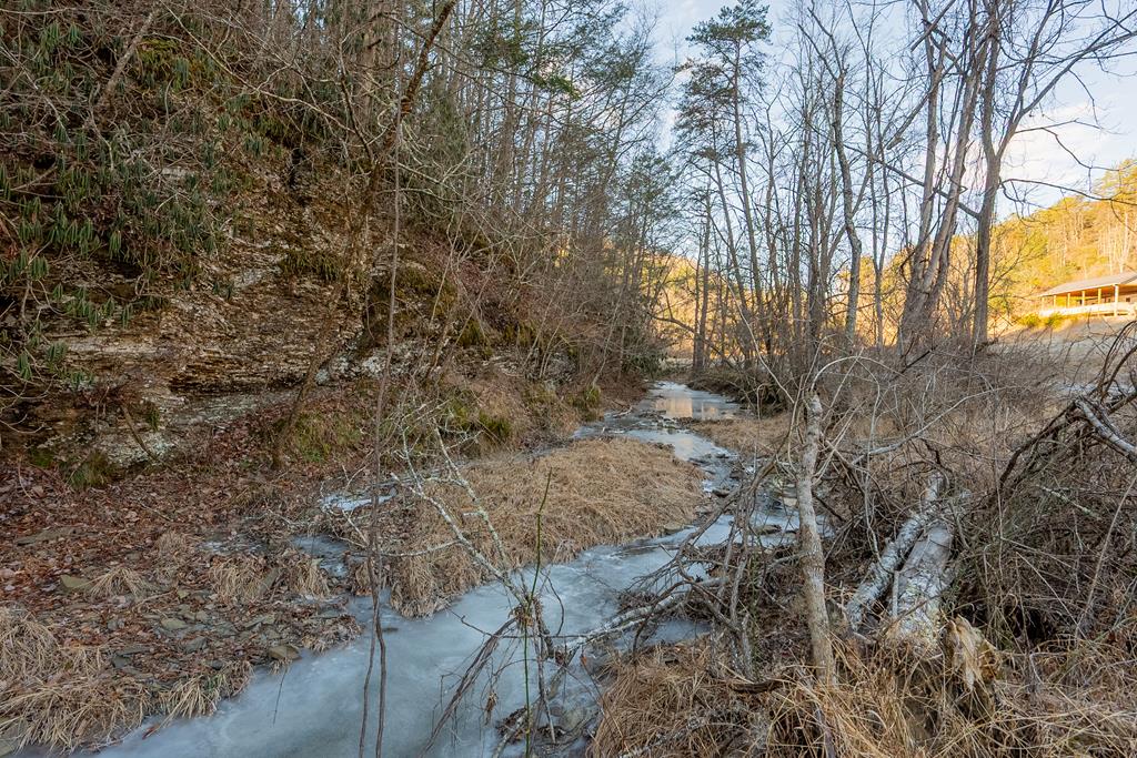 Tbd Kimberling Road, Unit 10A 10B2 Bland, VA 24315 - Photo 1 of 72 Gallery Image 1
