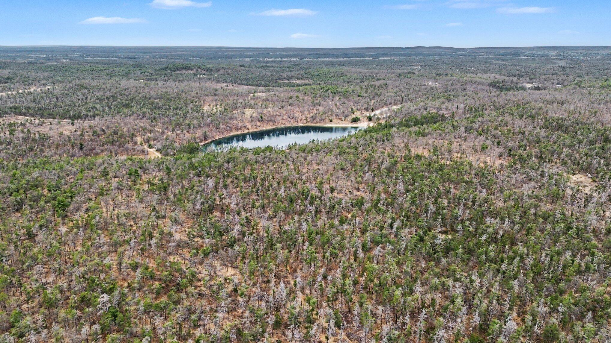 Gun Club Road Grayling, MI 49738 - Photo 6 of 17 005_dji_0341_69