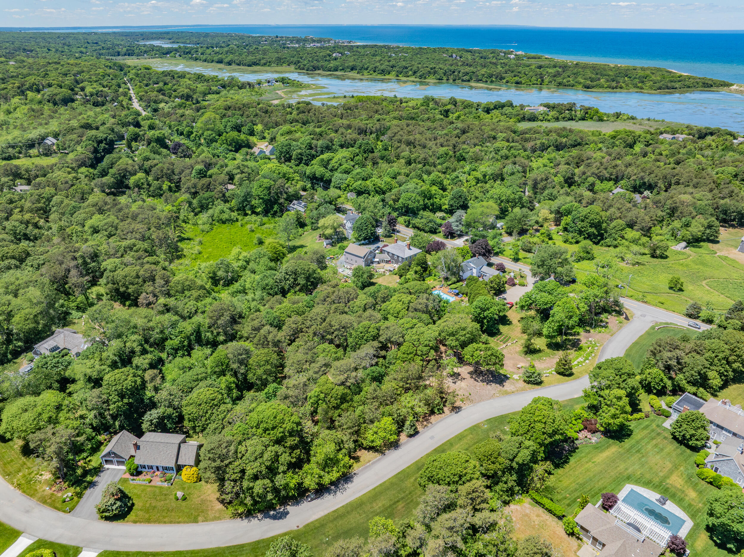 0 Ridgewood Drive Brewster, MA 02631 - Photo 23 of 42 a view of a lush green field with lots of plants in it