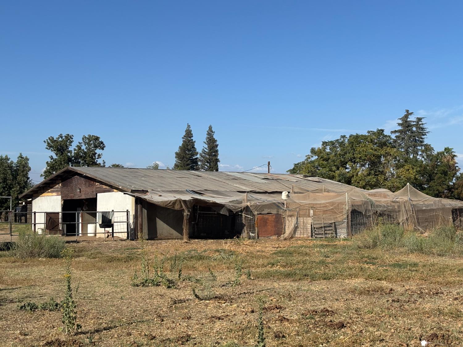 19317 East Parlier Avenue Reedley, CA 93654 - Photo 30 of 36 a front view of a house with a yard