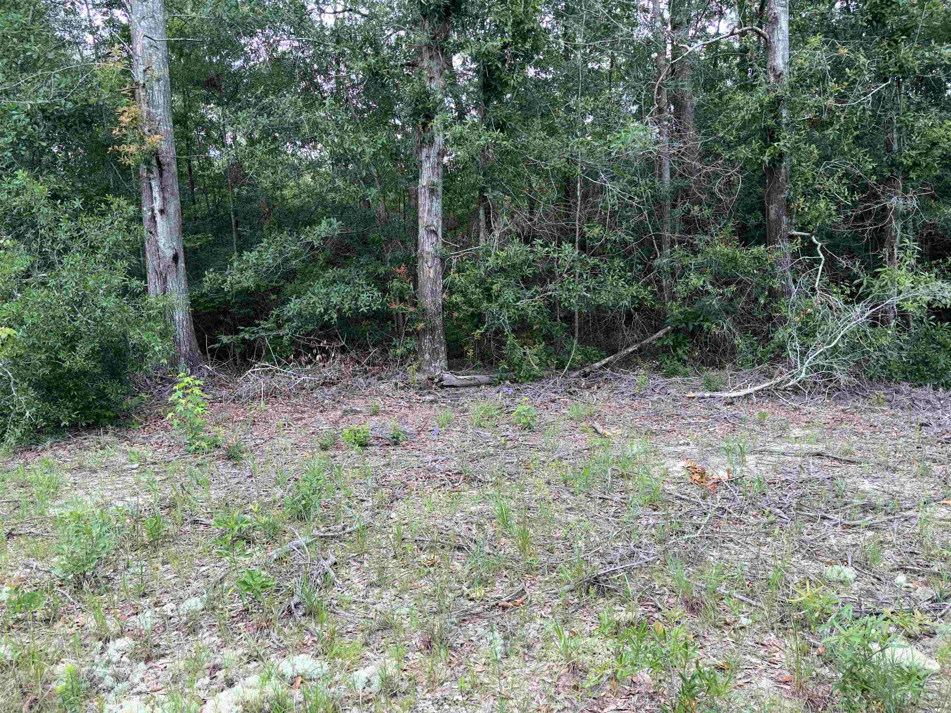0 6th Street Andalusia, AL 36421 - Photo 10 of 11 Gallery Image 10