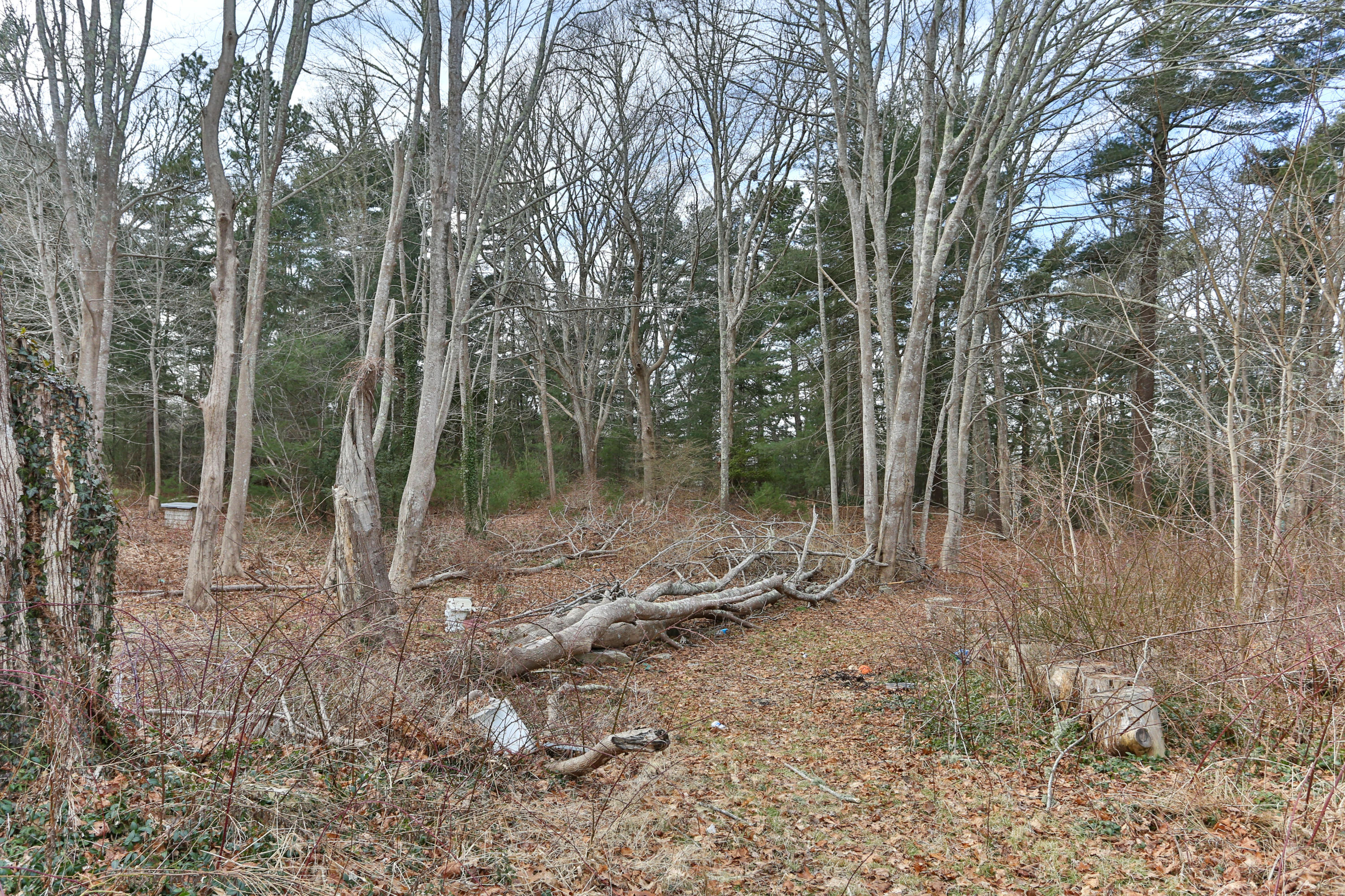 388 County Road Monument Beach, MA 02532 - Photo 18 of 23 388CouLR-18