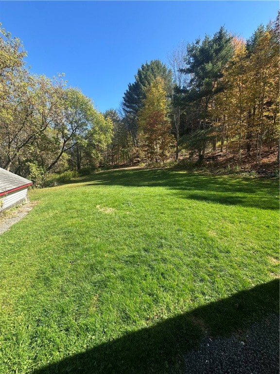 116 Cronk Road Roxbury, NY 12474 - Photo 6 of 22