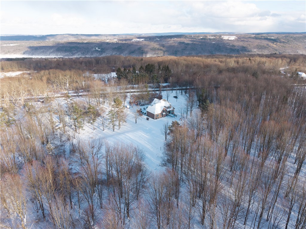 5978 Marrowback Road Conesus, NY 14435 - Photo 41 of 47