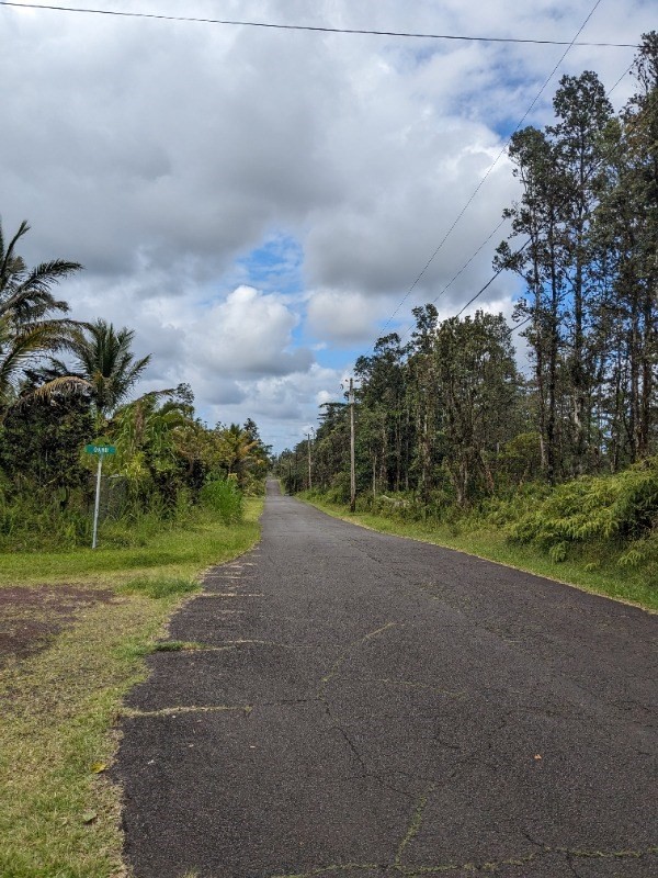 86 Oahu Road Pahoa, HI 96778 - Photo 4 of 6 Gallery Image 4