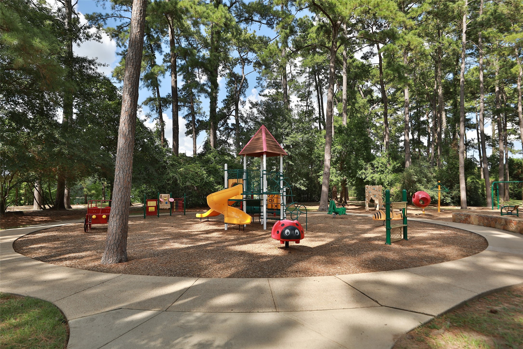 9406 Lochflora Drive Spring, TX 77379 - Photo 48 of 49 a park with lots of trees and buildings