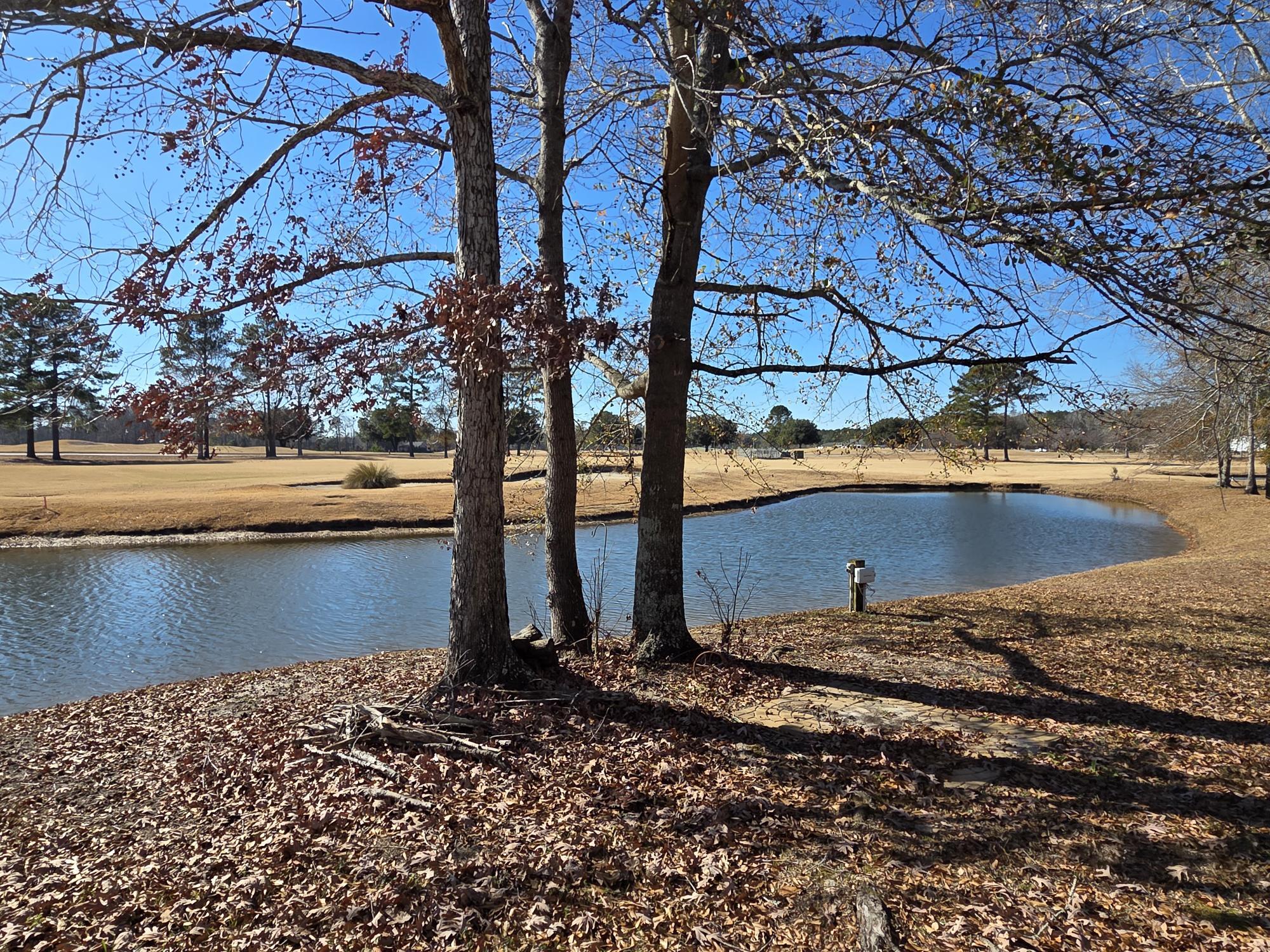 1151 Blue Heron Point Manning, SC 29102 - Photo 28 of 41 POND VIEW