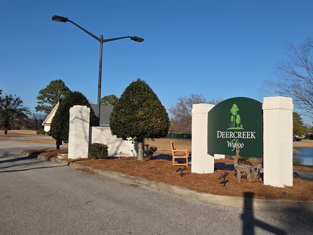 $235,000 | 1151 Blue Heron Point, Manning, SC 29102