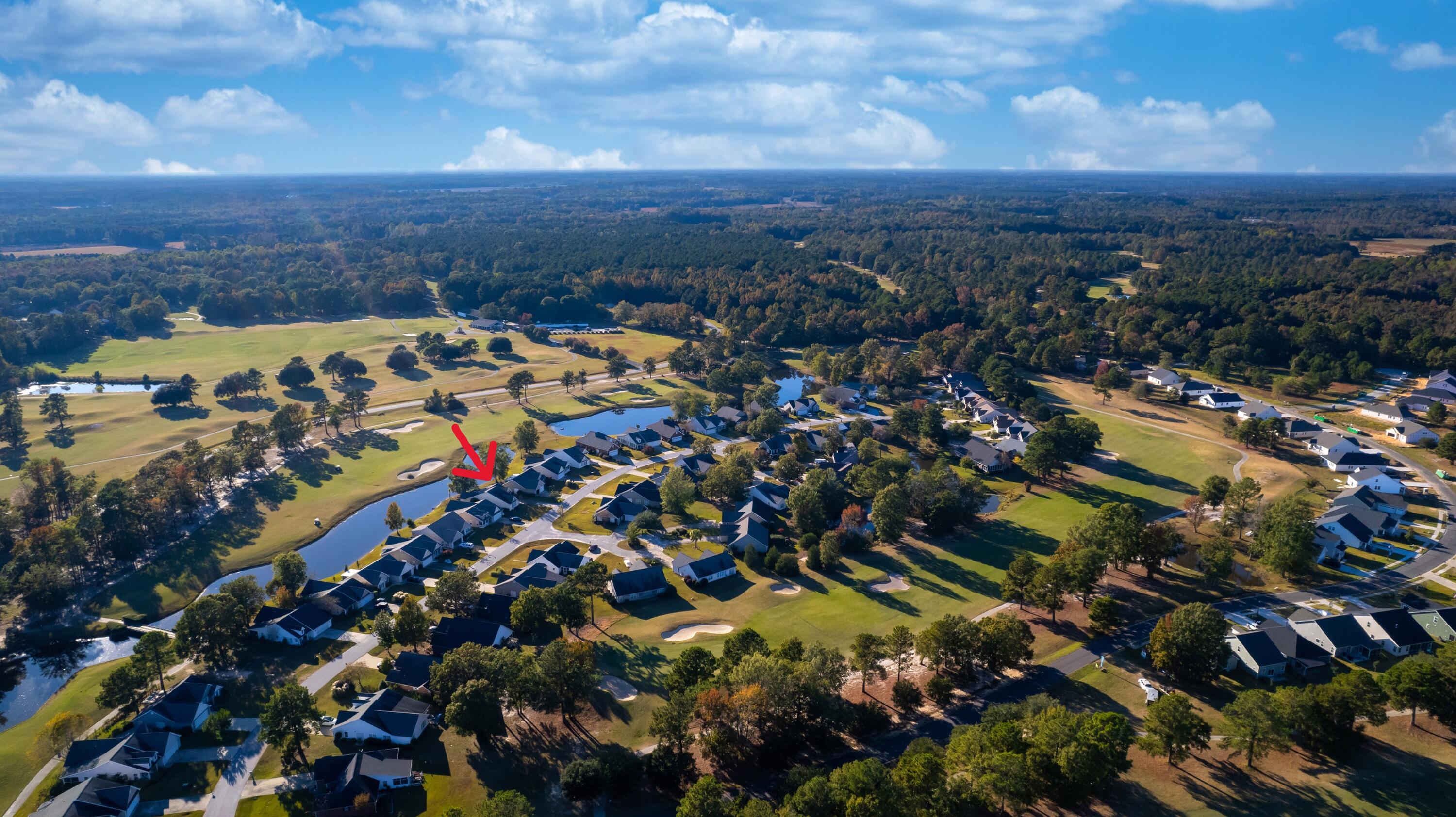 1151 Blue Heron Point Manning, SC 29102 - Photo 36 of 41 AERIAL VIEW