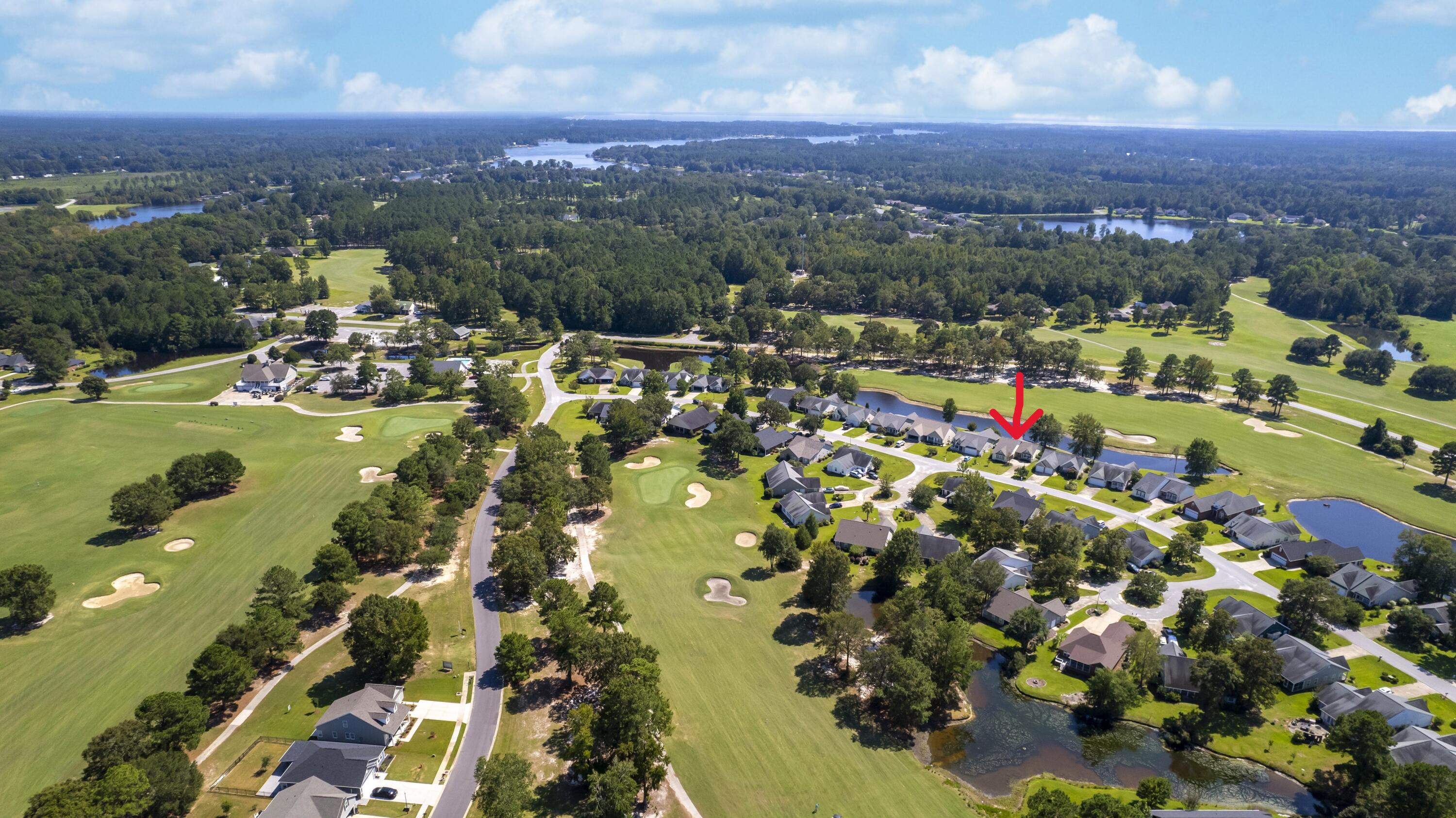 1151 Blue Heron Point Manning, SC 29102 - Photo 38 of 41 AERIAL VIEW