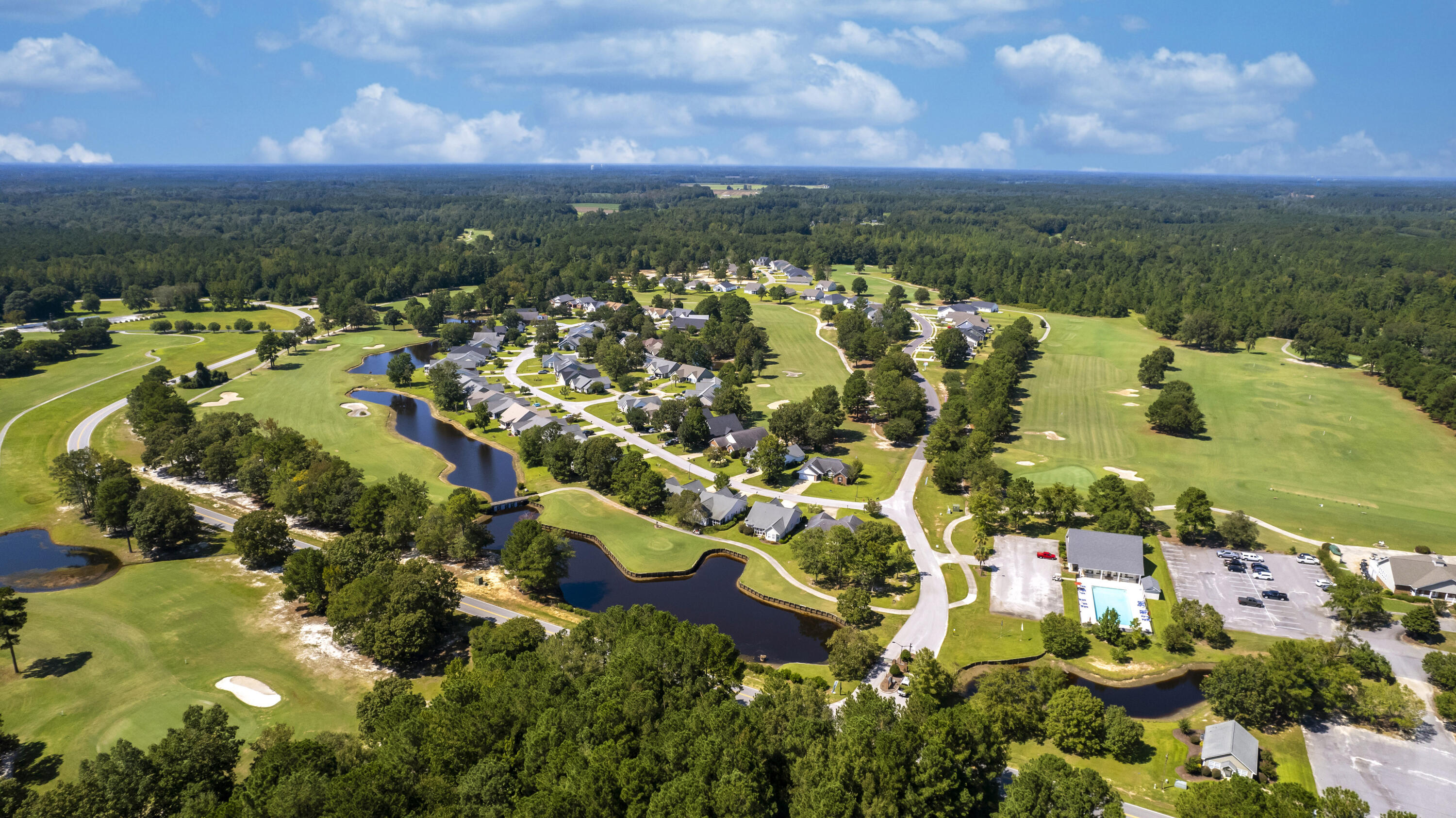 1151 Blue Heron Point Manning, SC 29102 - Photo 39 of 41 AERIAL VIEW