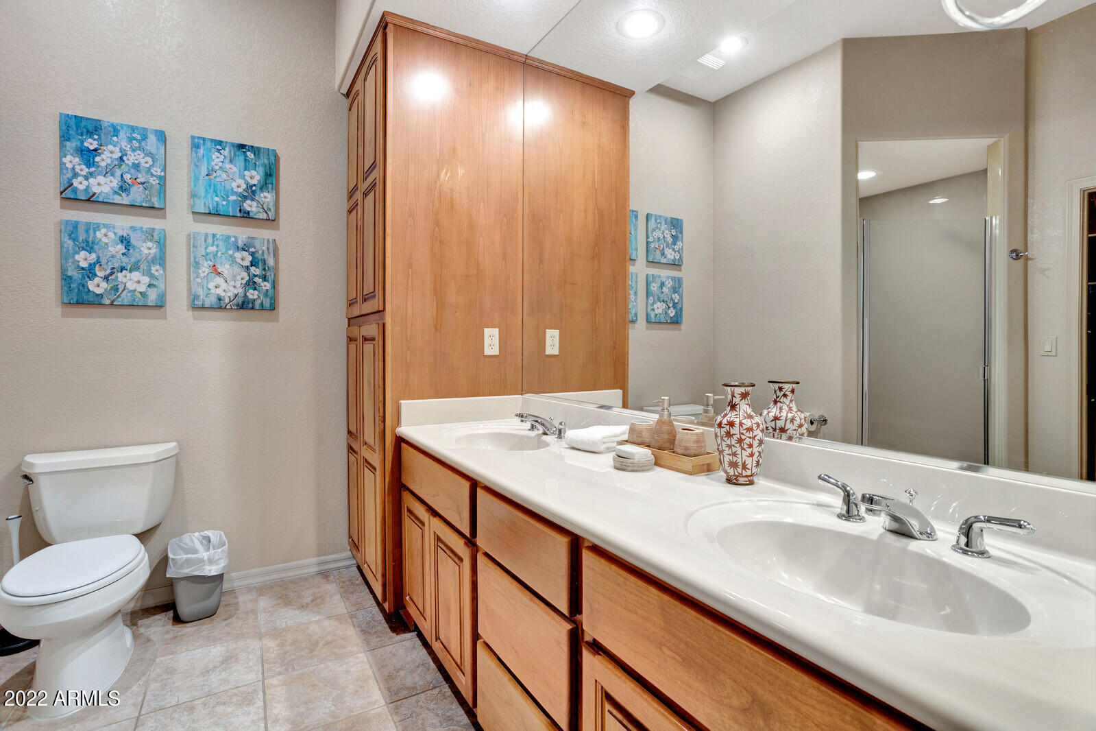 25615 North Sago Drive Rio Verde, AZ 85263 - Photo 18 of 63 Master Bathroom with Double Sinks
