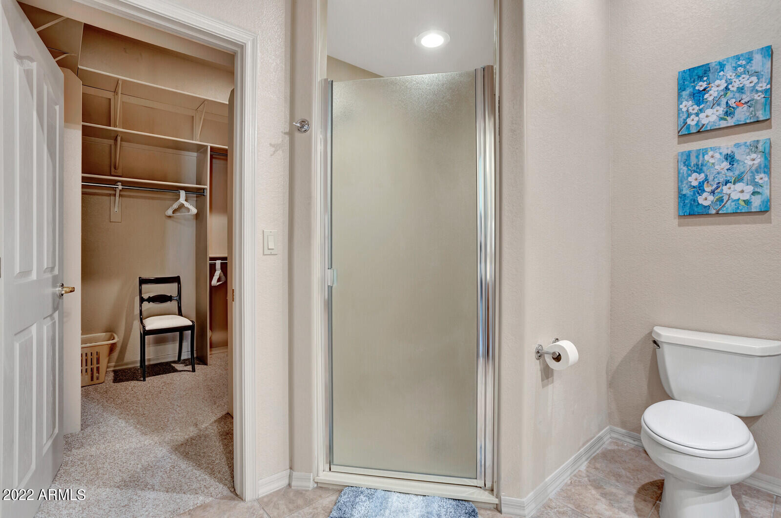 25615 North Sago Drive Rio Verde, AZ 85263 - Photo 19 of 63 Walk in Shower