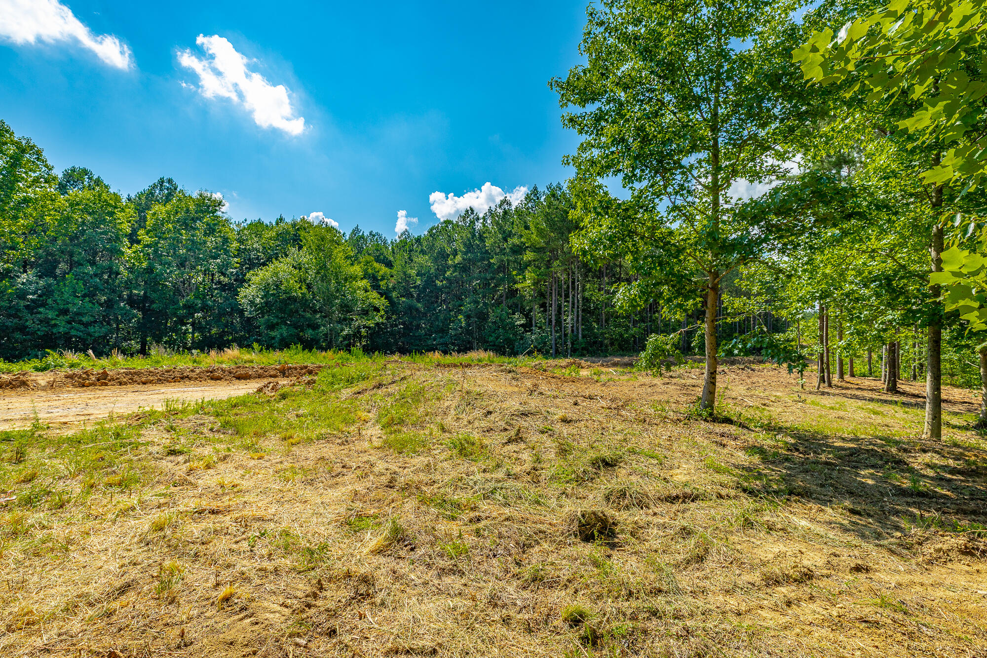 0 High Ground Road, Unit 2222 Guild, TN 37340 - Photo 32 of 110 0 High Ground Road Lot 2222 HD-78