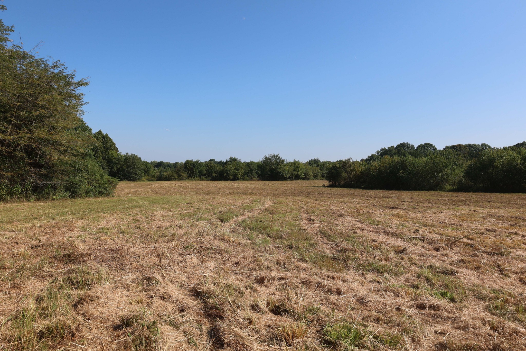3333 Midland Fosterville Road Bell Buckle, TN 37020 - Photo 1 of 11 Gallery Image 1