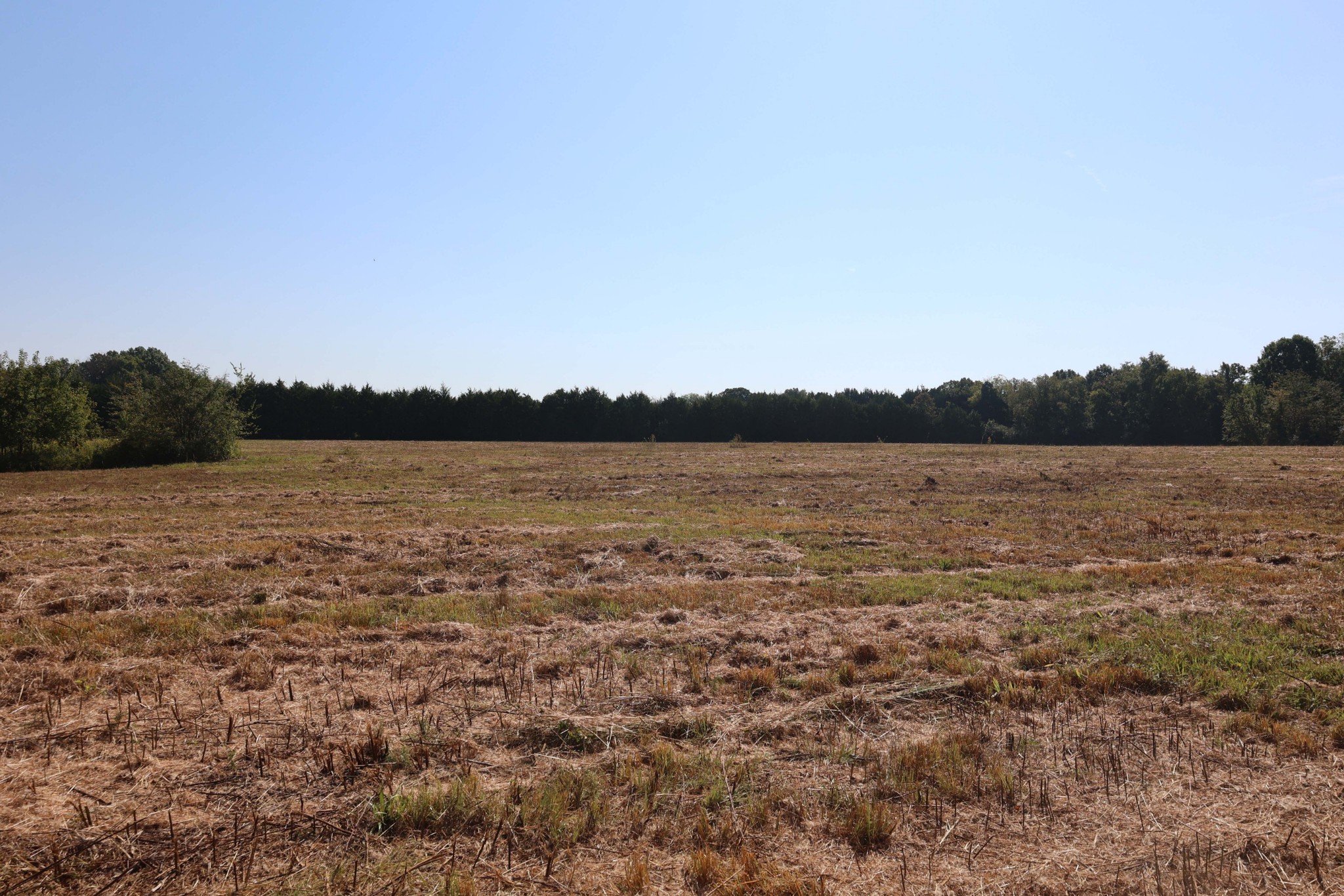 3333 Midland Fosterville Road Bell Buckle, TN 37020 - Photo 5 of 11 Gallery Image 5