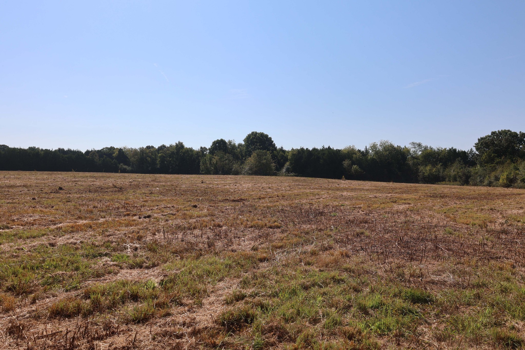 3333 Midland Fosterville Road Bell Buckle, TN 37020 - Photo 6 of 11 Gallery Image 6