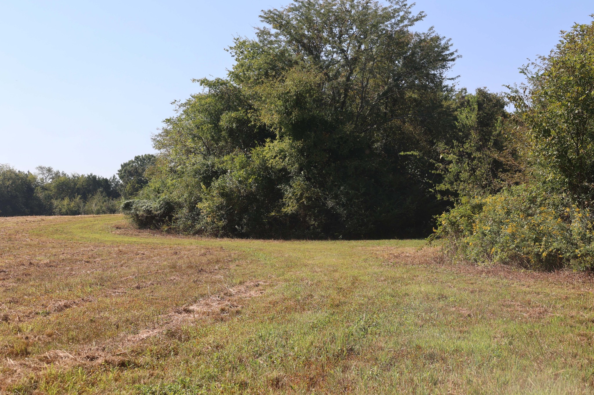 3333 Midland Fosterville Road Bell Buckle, TN 37020 - Photo 8 of 11 Gallery Image 8